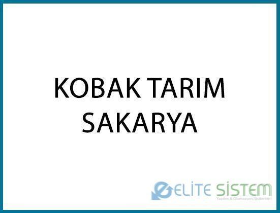 KOBAK TARIM / SAKARYA